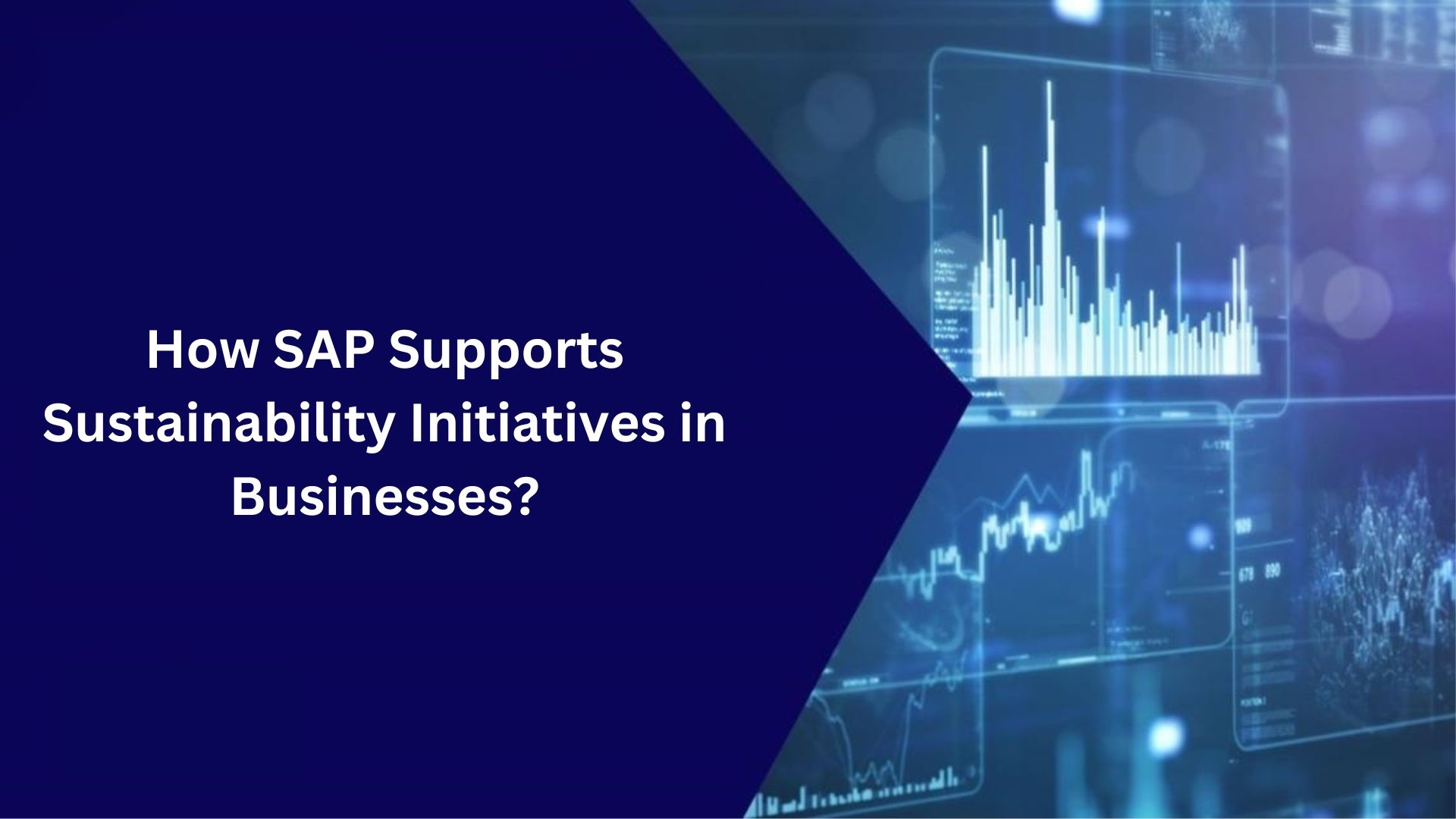 HOW SAP SUPPORTS SUSTAINABILITY INITIATIVES IN BUSINESSES?