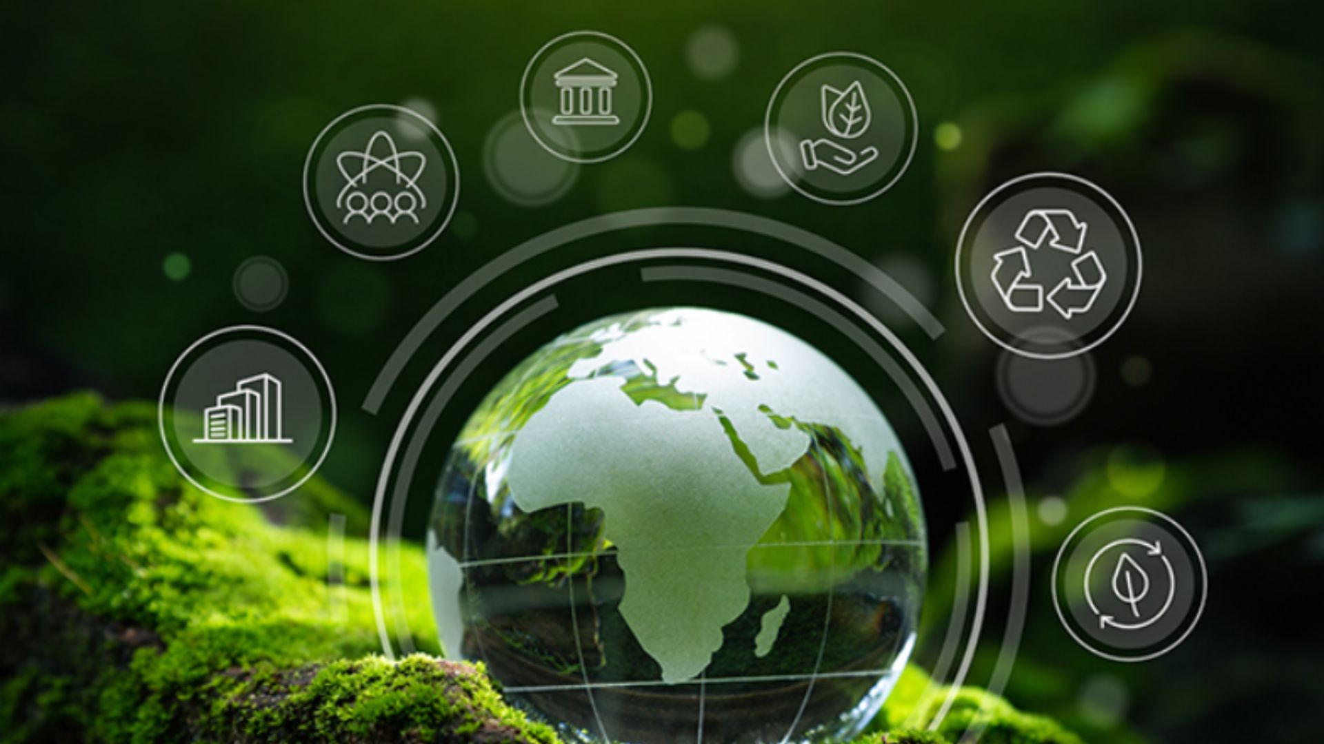 CSR Activity Image